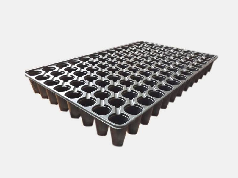 104 Cells Seeding Tray