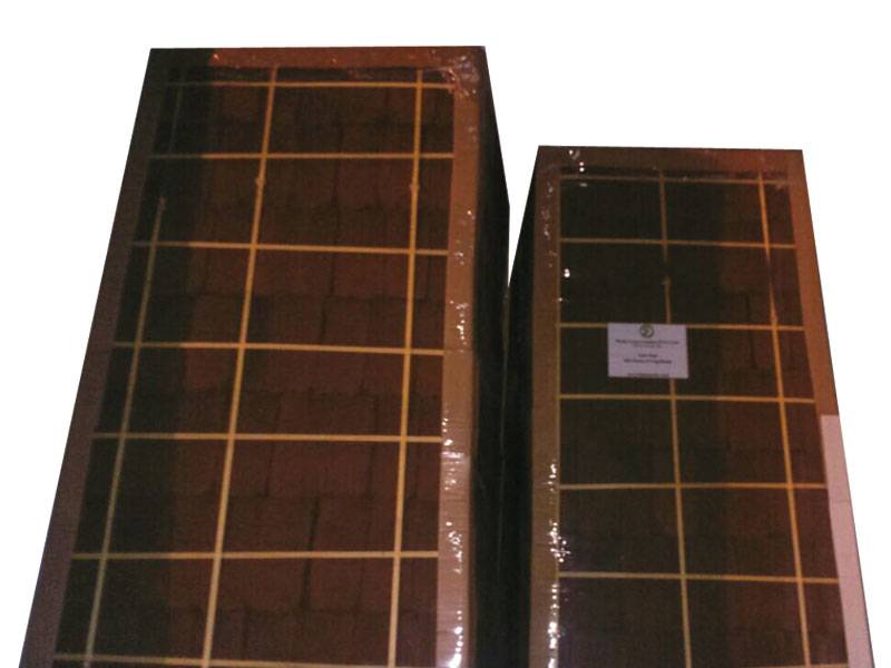 Medium Coco Peat